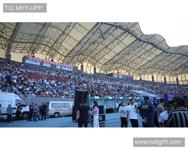 衡水足球明星阵容全解析与精彩瞬间回顾照片展示